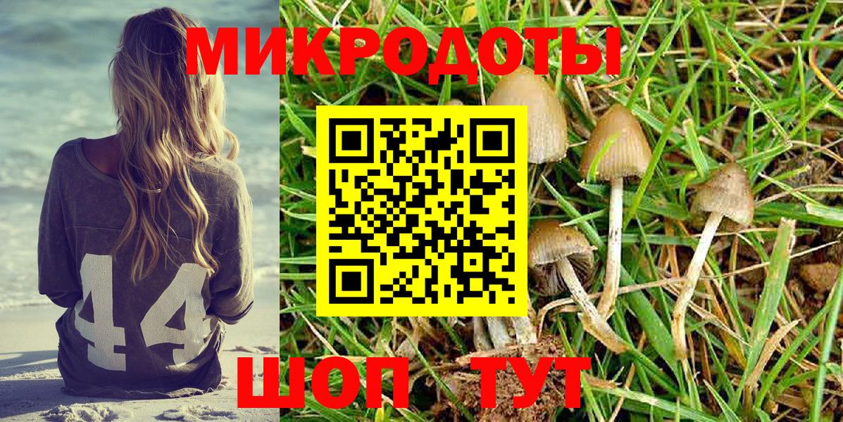 Галлюциногенные грибы ЛСД Петрозаводск